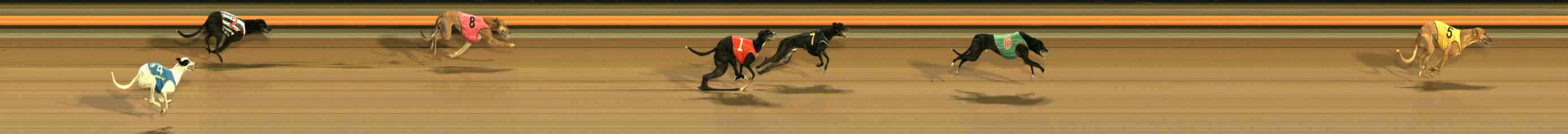 Race result finish photo